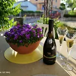 Rita Oliva Novigrad Istria