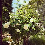Rita Oliva 아파트 *