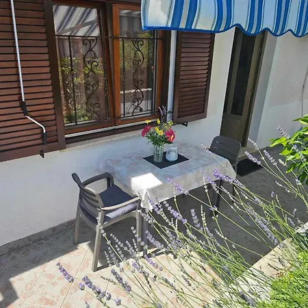 Rita Oliva Novigrad Istria