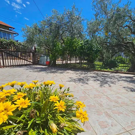 Rita Oliva شقة Novigrad Istria