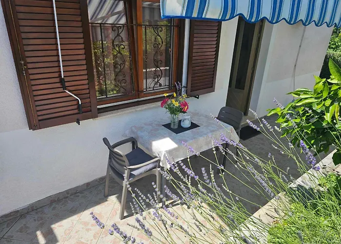 Rita Oliva Novigrad Istria