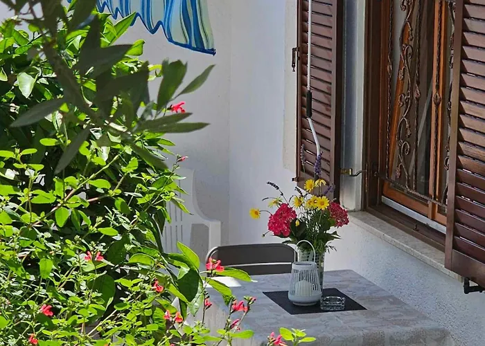 Rita Oliva Novigrad Istria