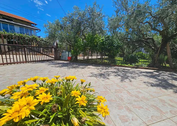 Rita Oliva Appartement Novigrad Istria