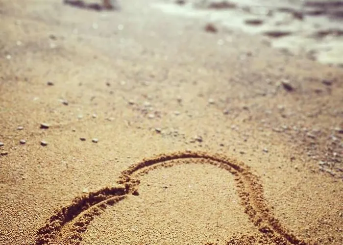 Rita Oliva Appartement Novigrad Istria