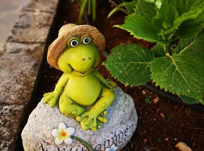 Rita Oliva * Novigrad Istria