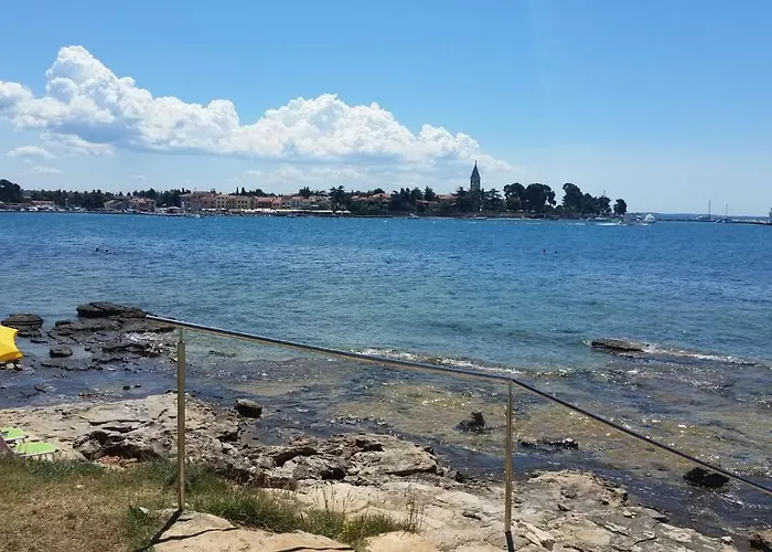 Rita Oliva Appartement