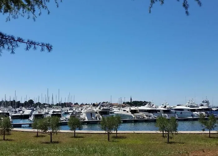 Rita Oliva Appartement