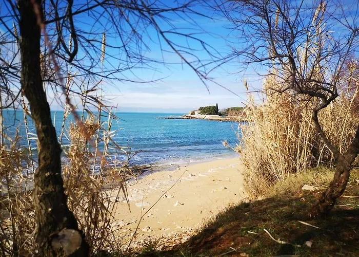 Rita Oliva Daire Novigrad Istria