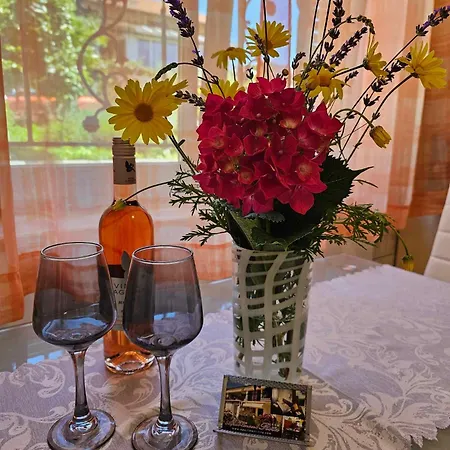 Apartment Rita Oliva Novigrad (Istria)