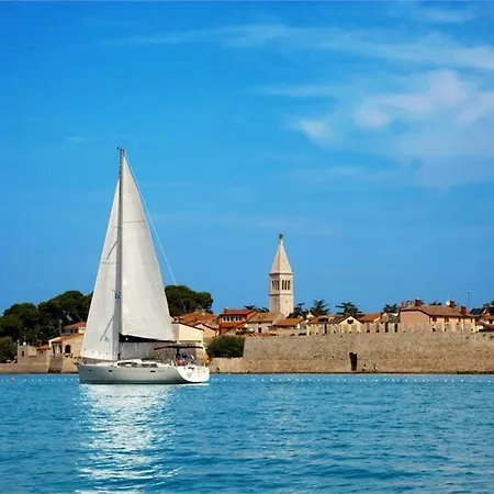 Rita Oliva Novigrad (Istria)