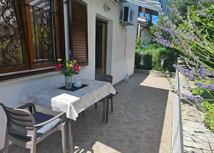 Rita Oliva Новиград