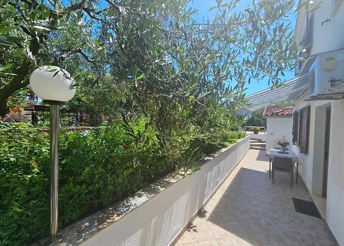 Rita Oliva * Новиград