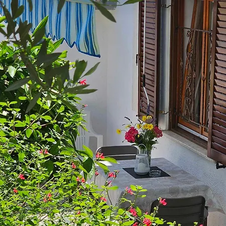 Rita Oliva Novigrad Istria