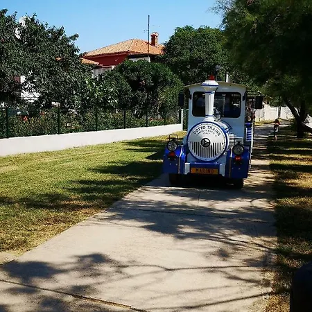 Rita Oliva * Novigrad Istria